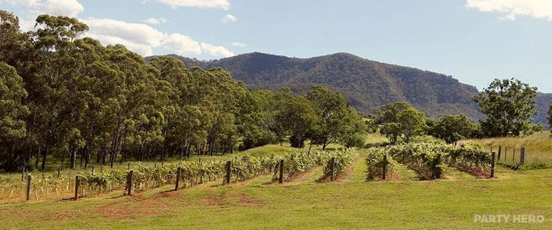 Tulloch Wines - group activities in the Hunter Valley