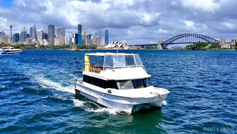 Cruise Cat