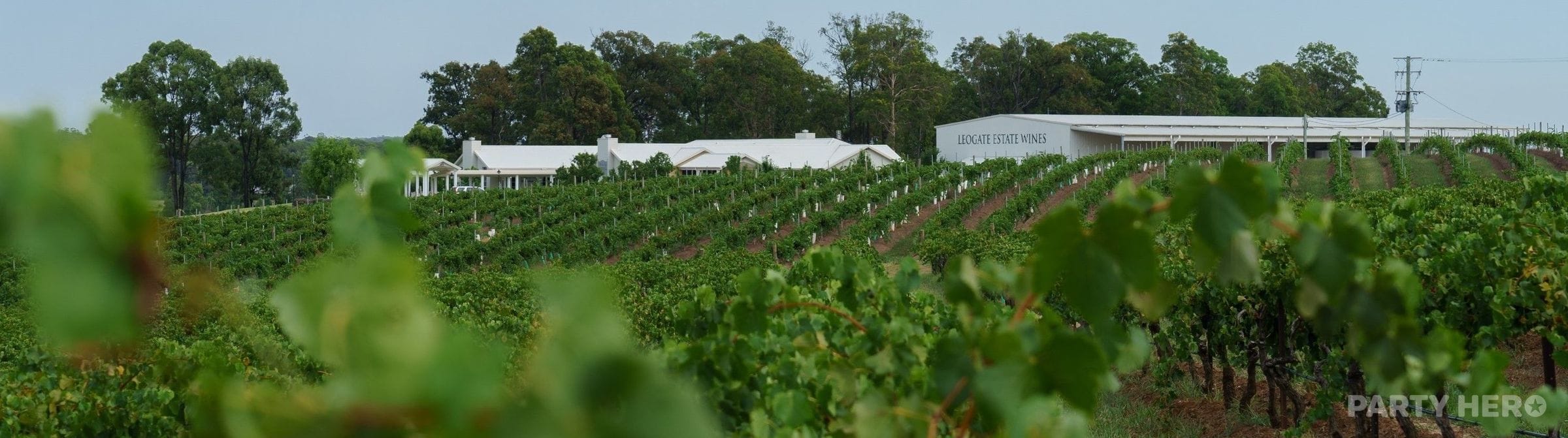 Leogate Estate - accommodation in the Hunter Valley