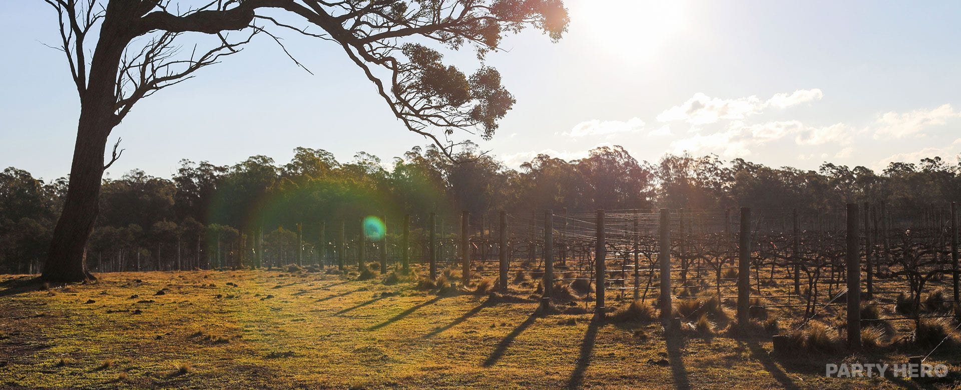 Tractorless Vineyard - tasting experiences in the Southern Highlands