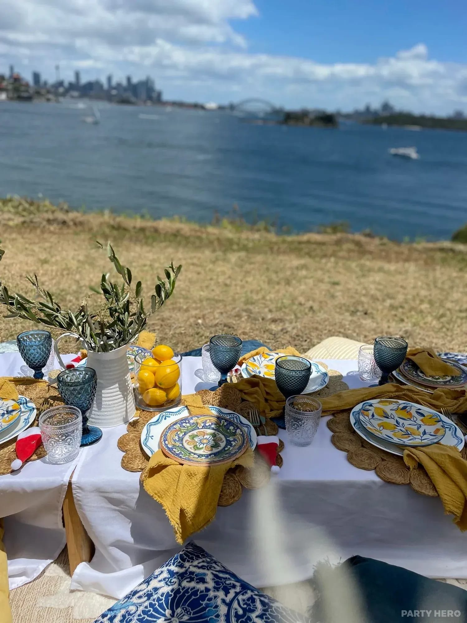 Milk and Honey Picnics activity in Sydney - group bookings