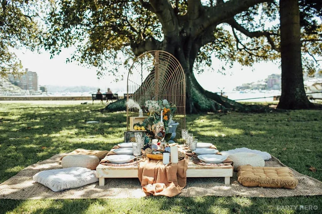 Milk and Honey Picnics activity in Sydney - group bookings