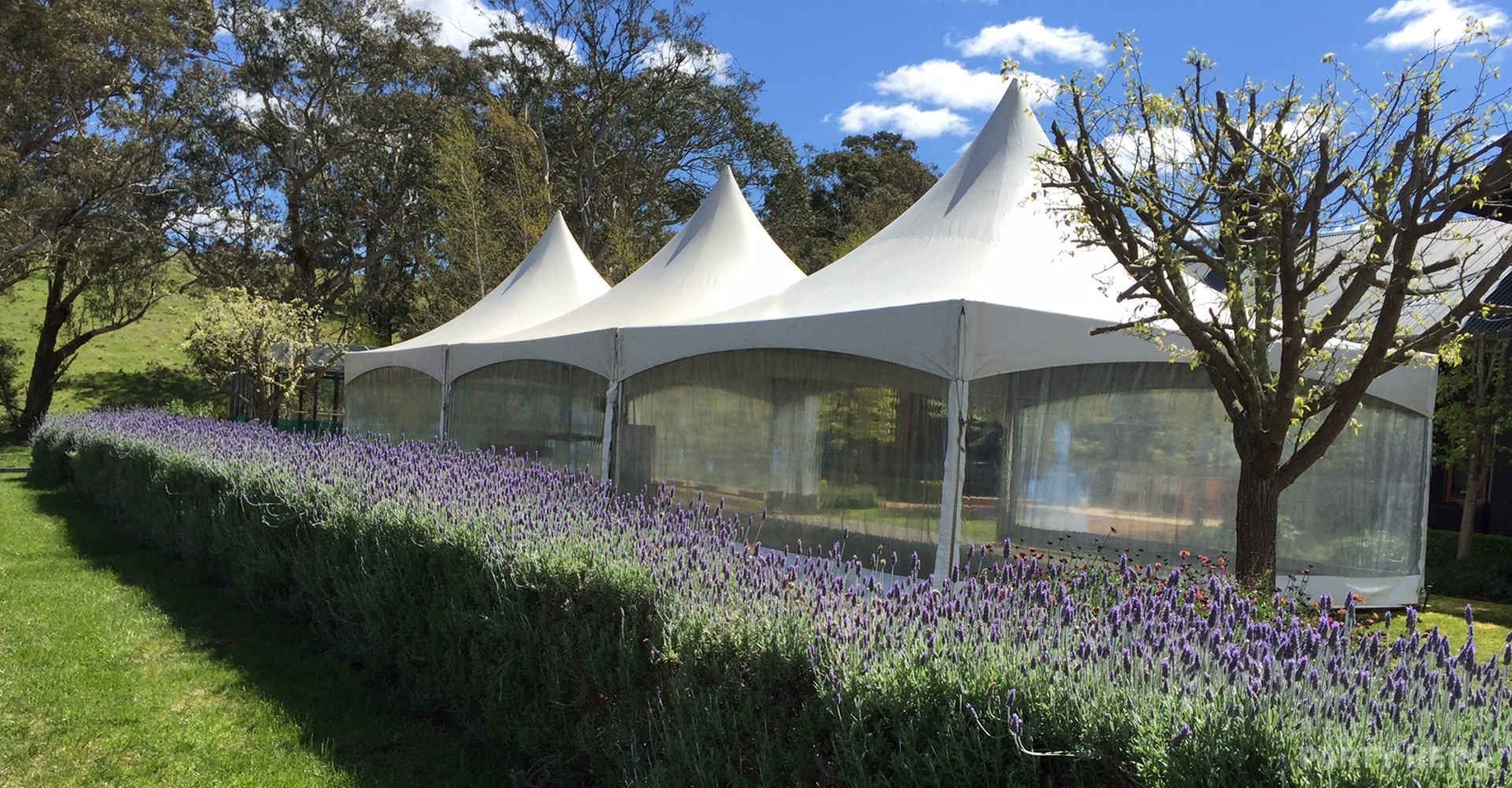 Camden Hire Events activity in Sydney - group bookings