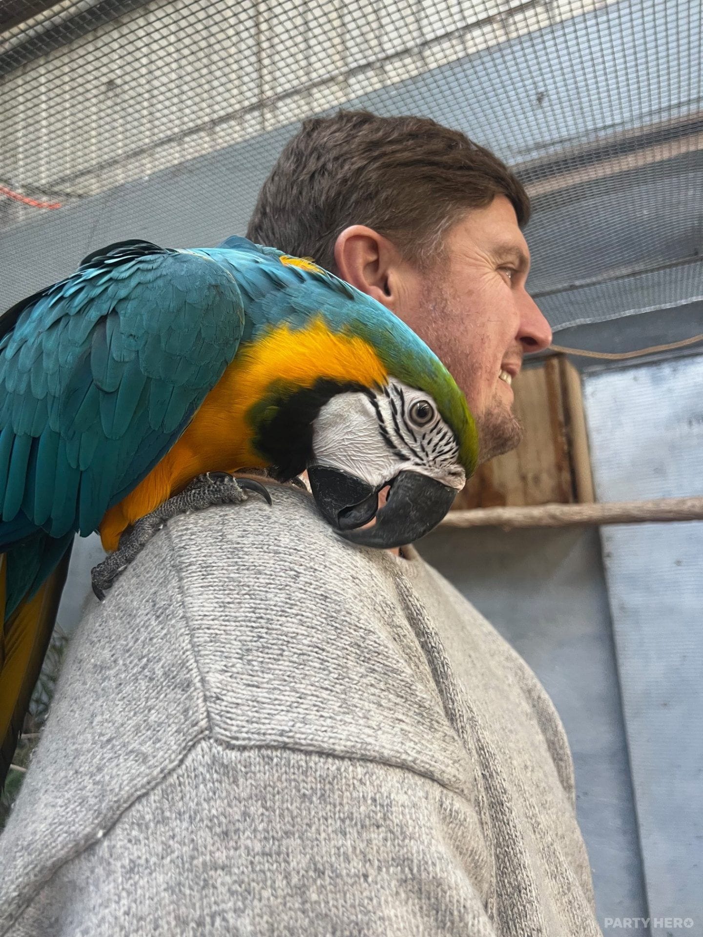 Port Stephens Animal Adventures - wildlife experiences in Port Stephens