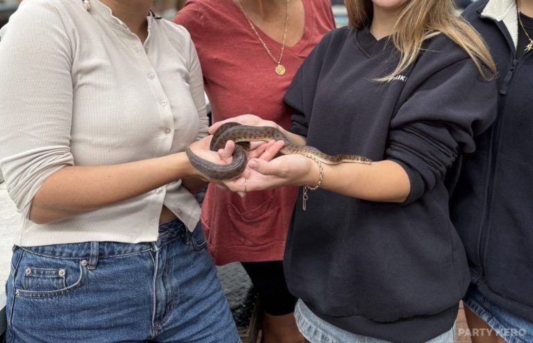 Port Stephens Animal Adventures - wildlife experiences in Port Stephens