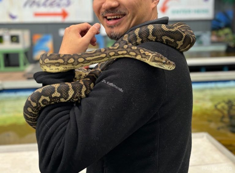 Port Stephens Animal Adventures - wildlife experiences in Port Stephens