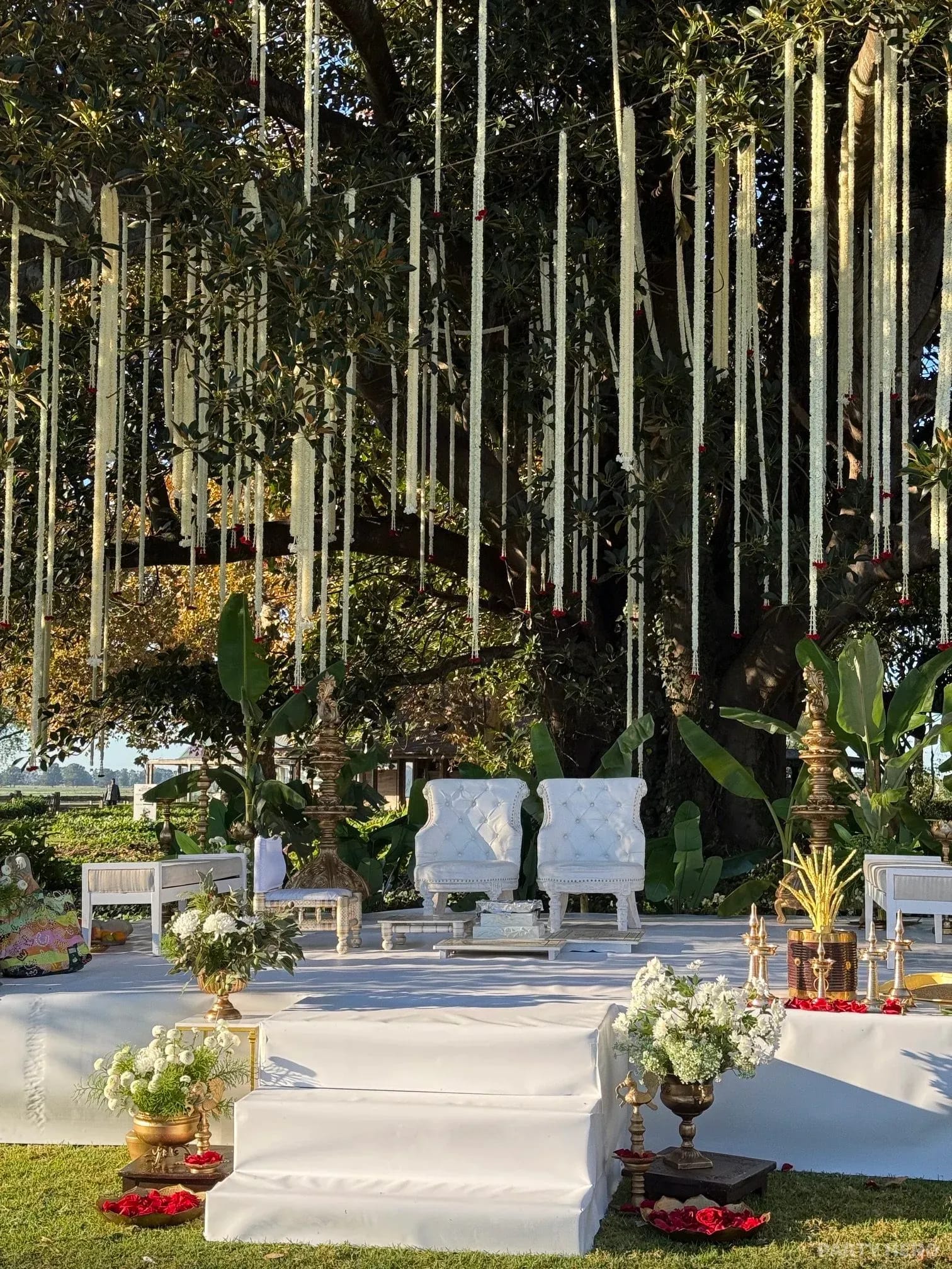 VIP Decorating activity in Sydney - group bookings