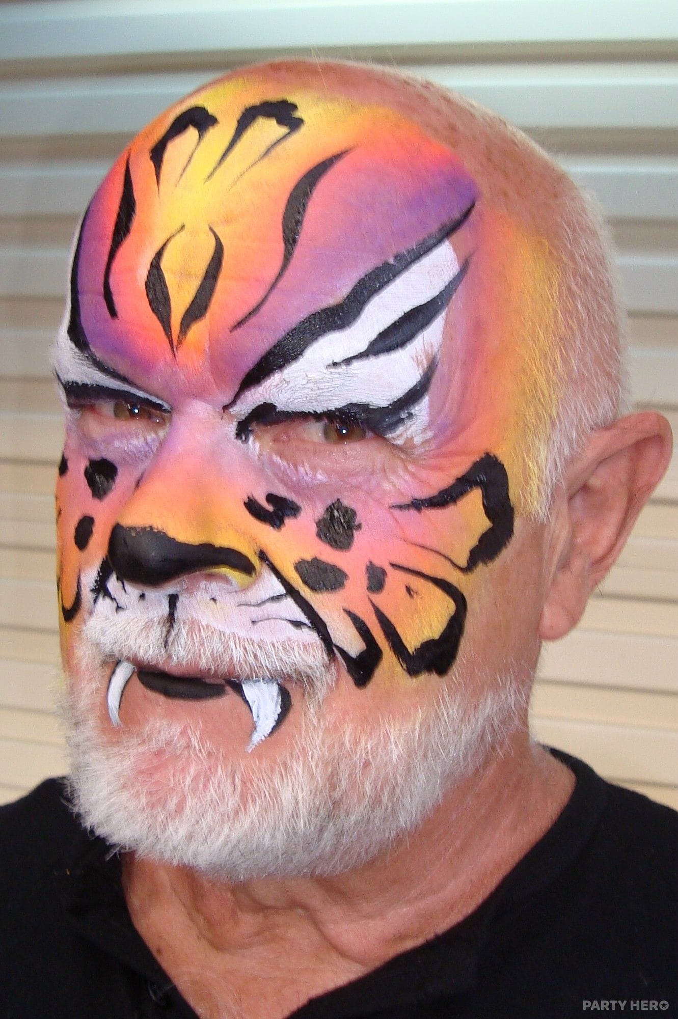 Gypsy Janine Face Painting - party hire in Melbourne