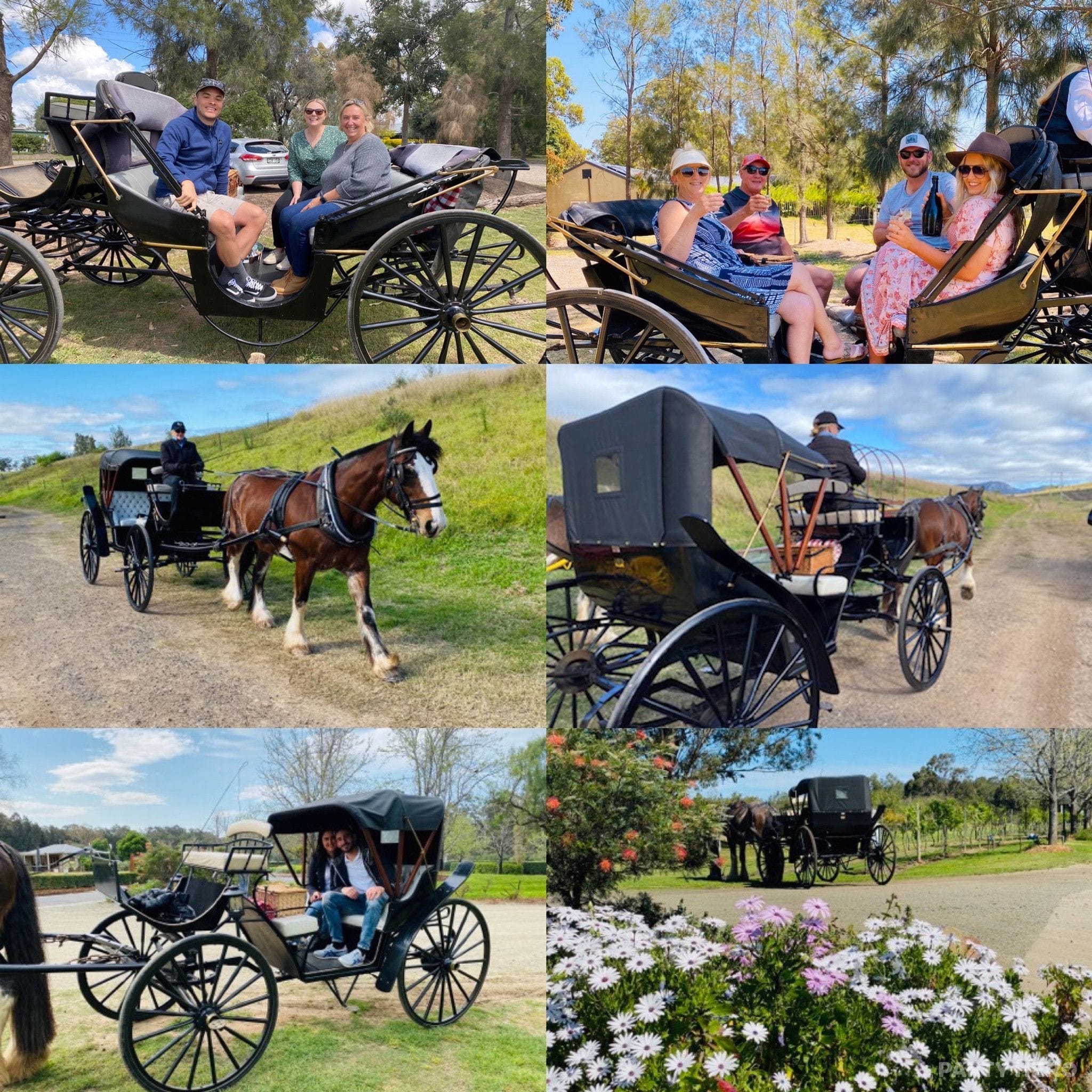 Hunter Valley Classic Carriages - wine tours in the Hunter Valley