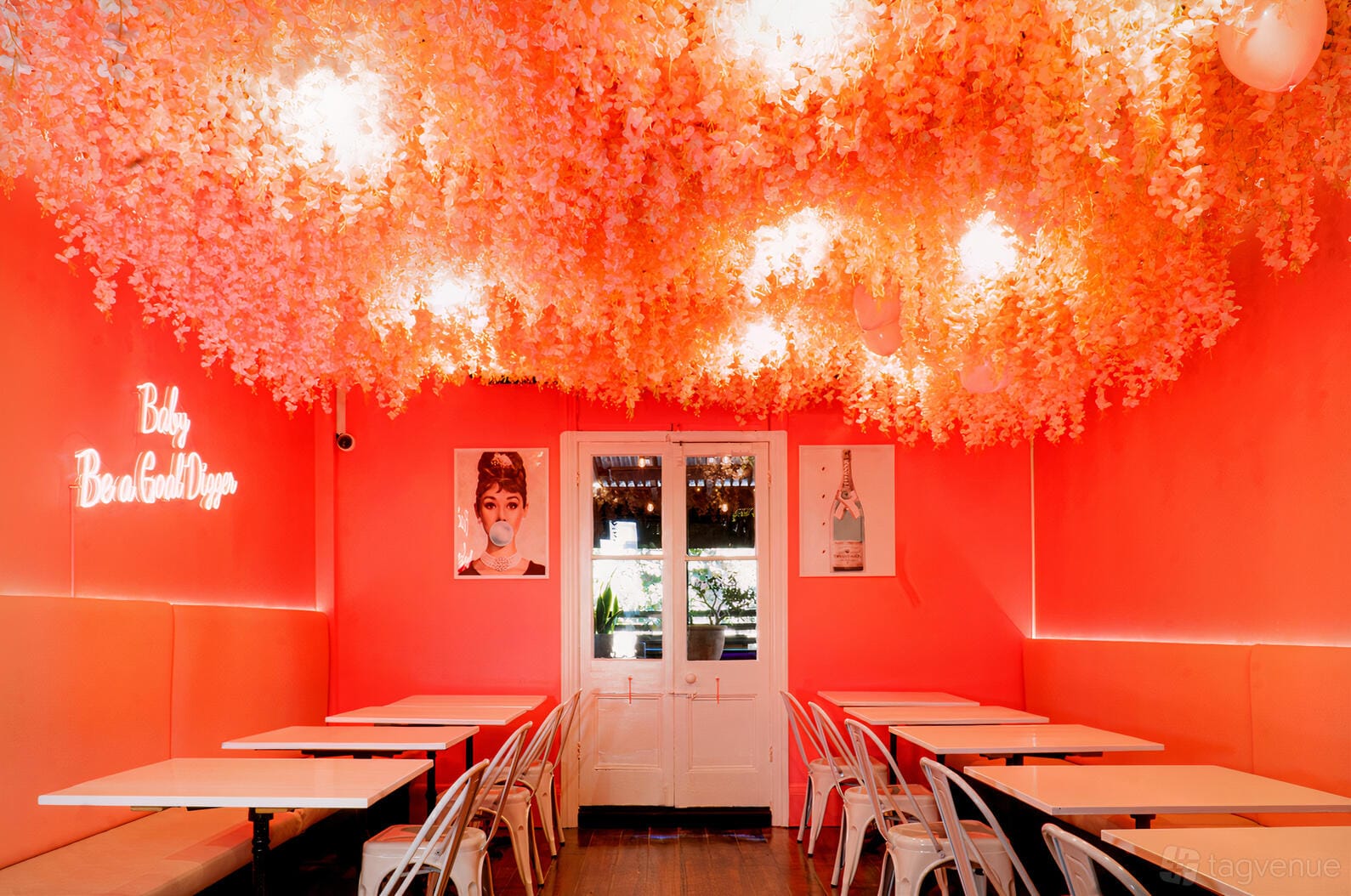 Vecino Fiesta Party Room - Glebe party venue hire