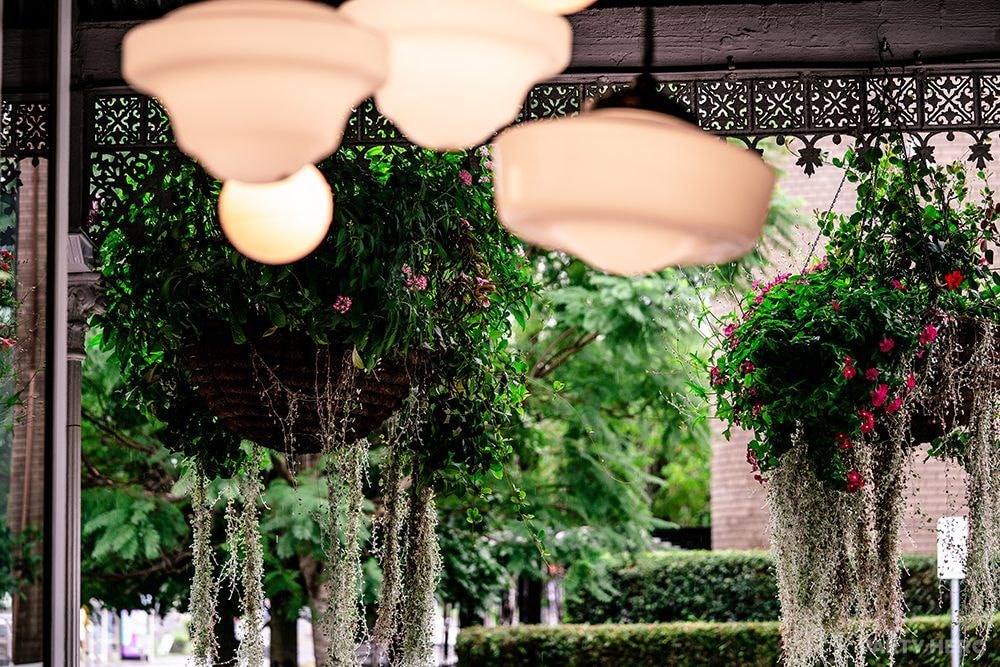 The Norman Hotel - party venue in Brisbane
