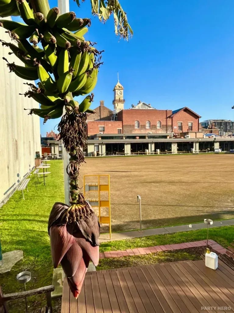 Richmond Union Bowling Club - barefoot bowls in Melbourne
