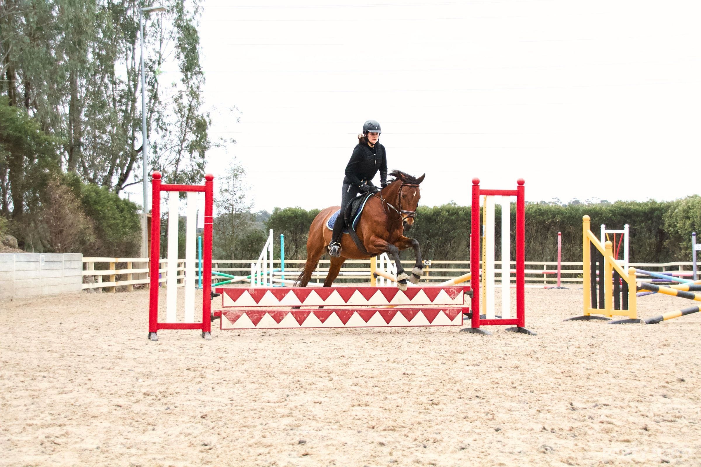 Valley Park Riding School - horse riding in Melbourne