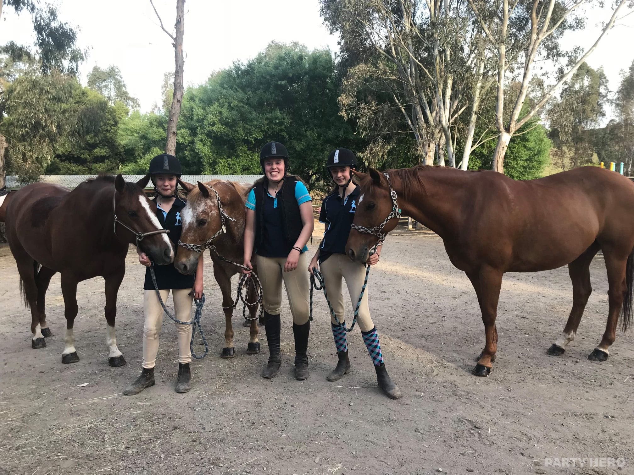 Valley Park Riding School - horse riding in Melbourne
