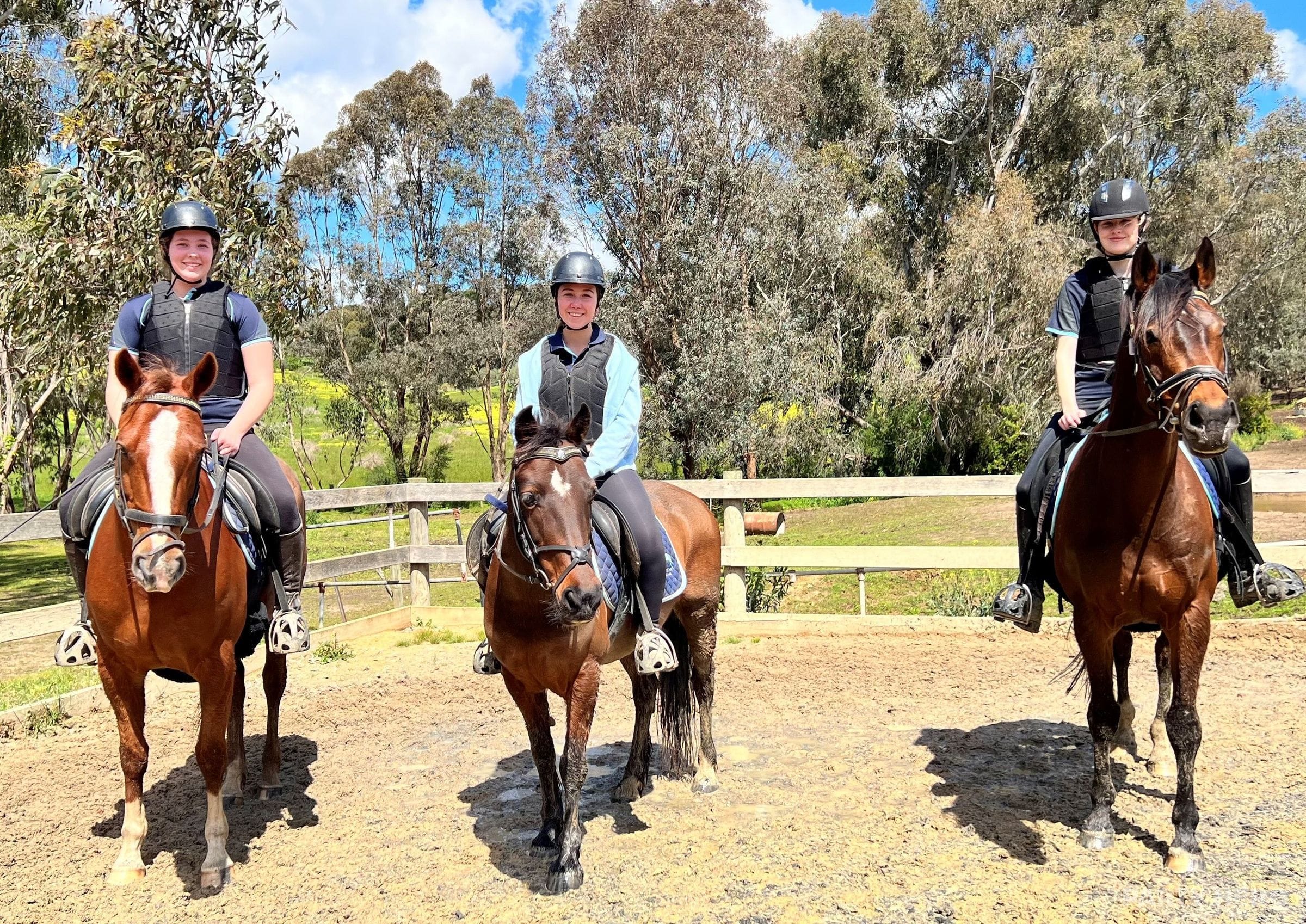 Valley Park Riding School - horse riding in Melbourne