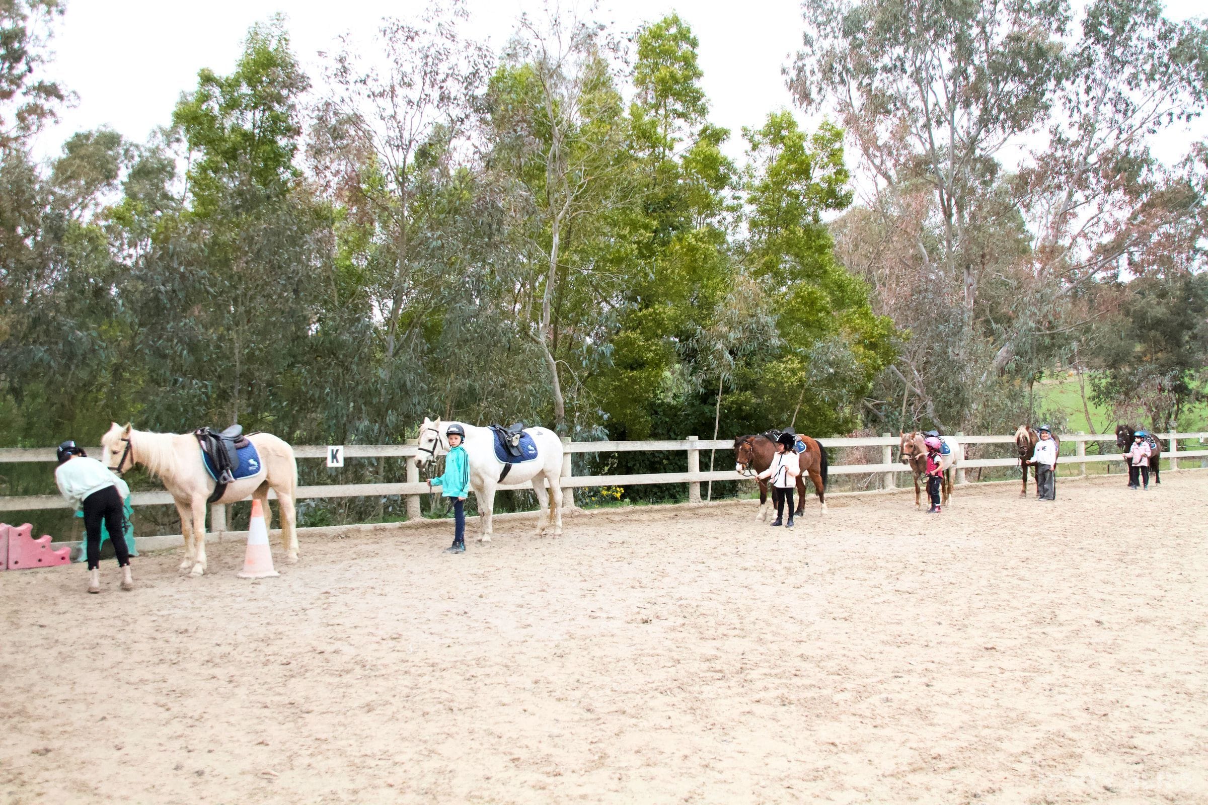 Valley Park Riding School - horse riding in Melbourne