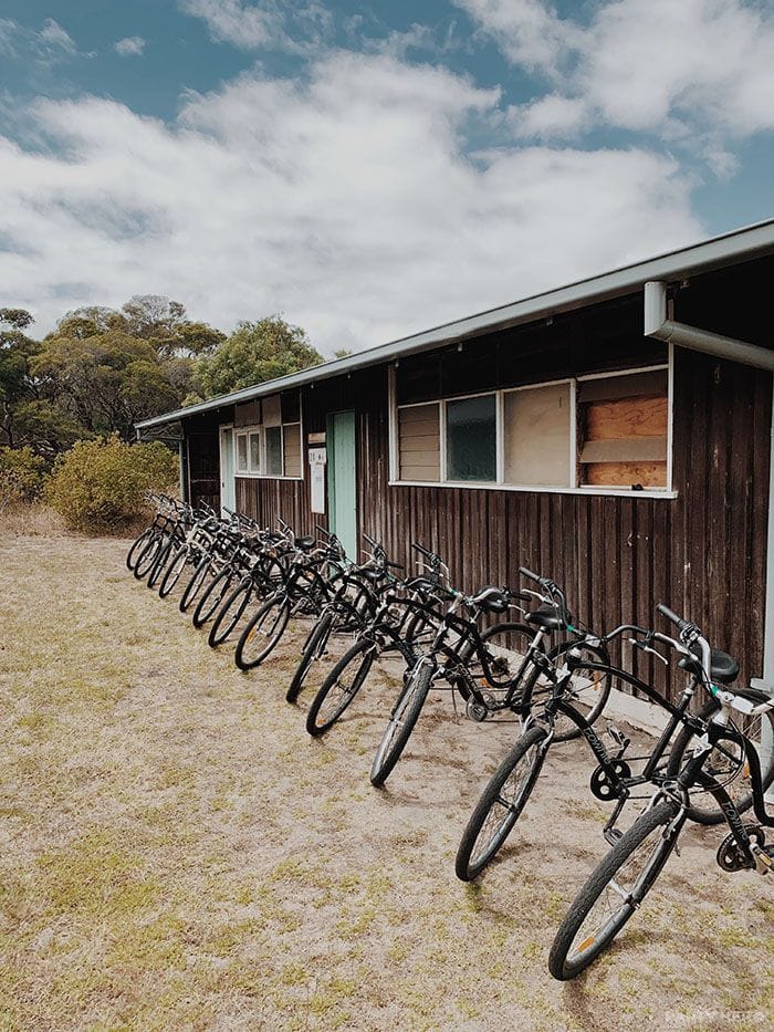 Bayplay Adventure Tours - group activities on the Mornington Peninsula