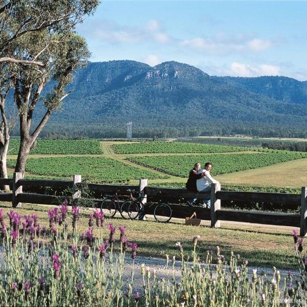 Berenbell Vineyard Retreat - accommodation in the Hunter Valley
