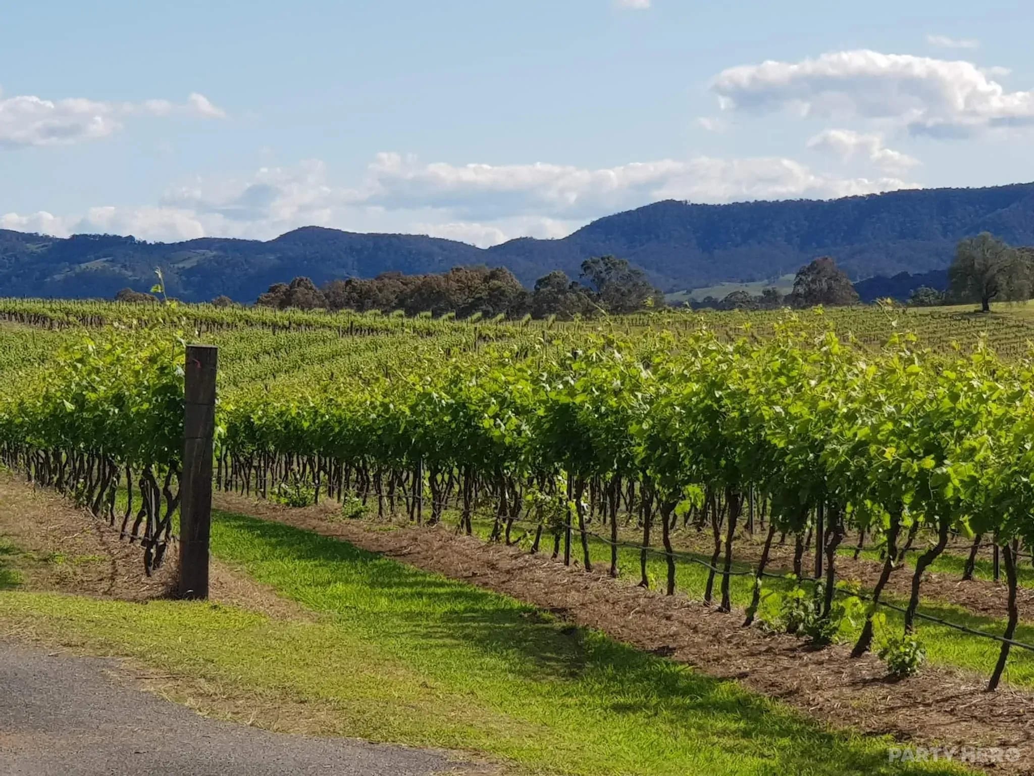 Hunter Valley Private Wine Tours & Transfers - wine tours in the Hunter Valley