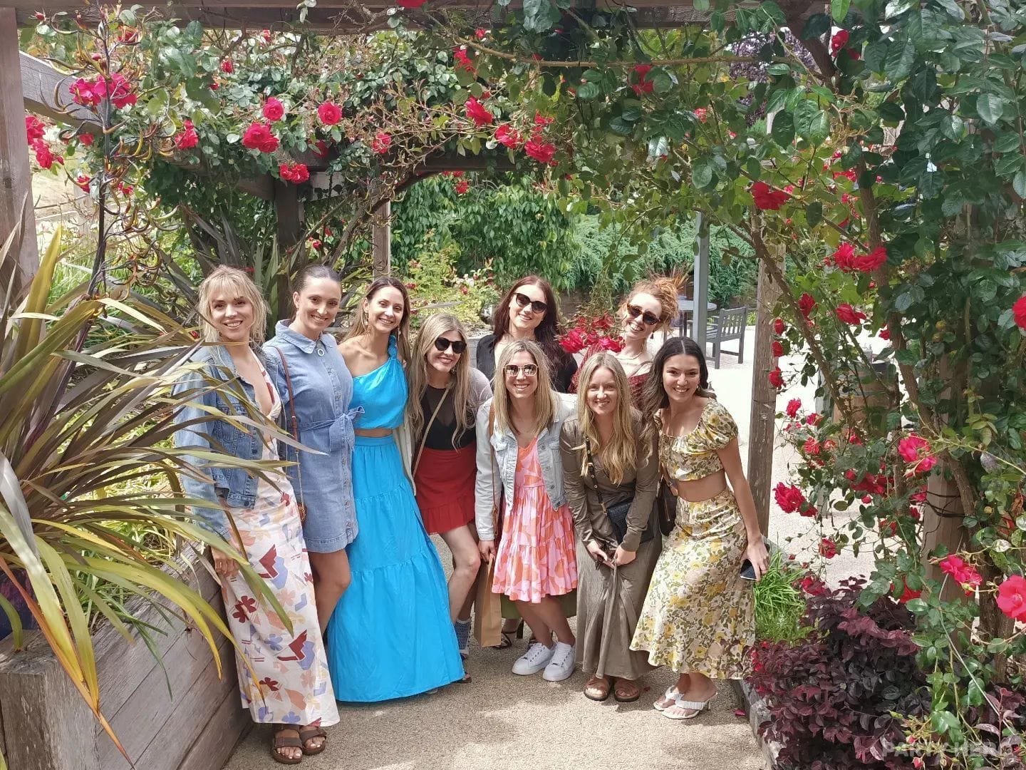 Red Carpet Wine Tours - party hire in Melbourne