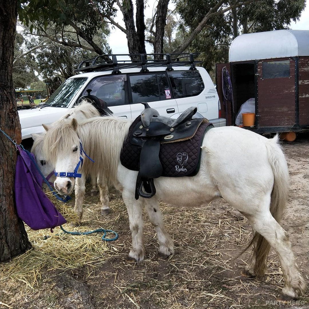 Little Ryders Pony Rides - kids party entertainment in Melbourne