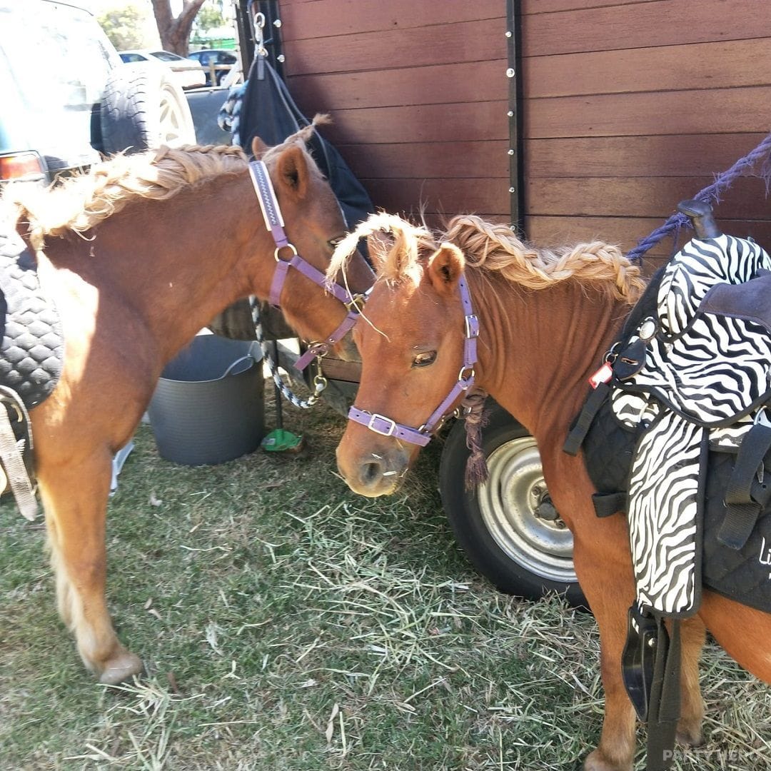 Little Ryders Pony Rides - kids party entertainment in Melbourne