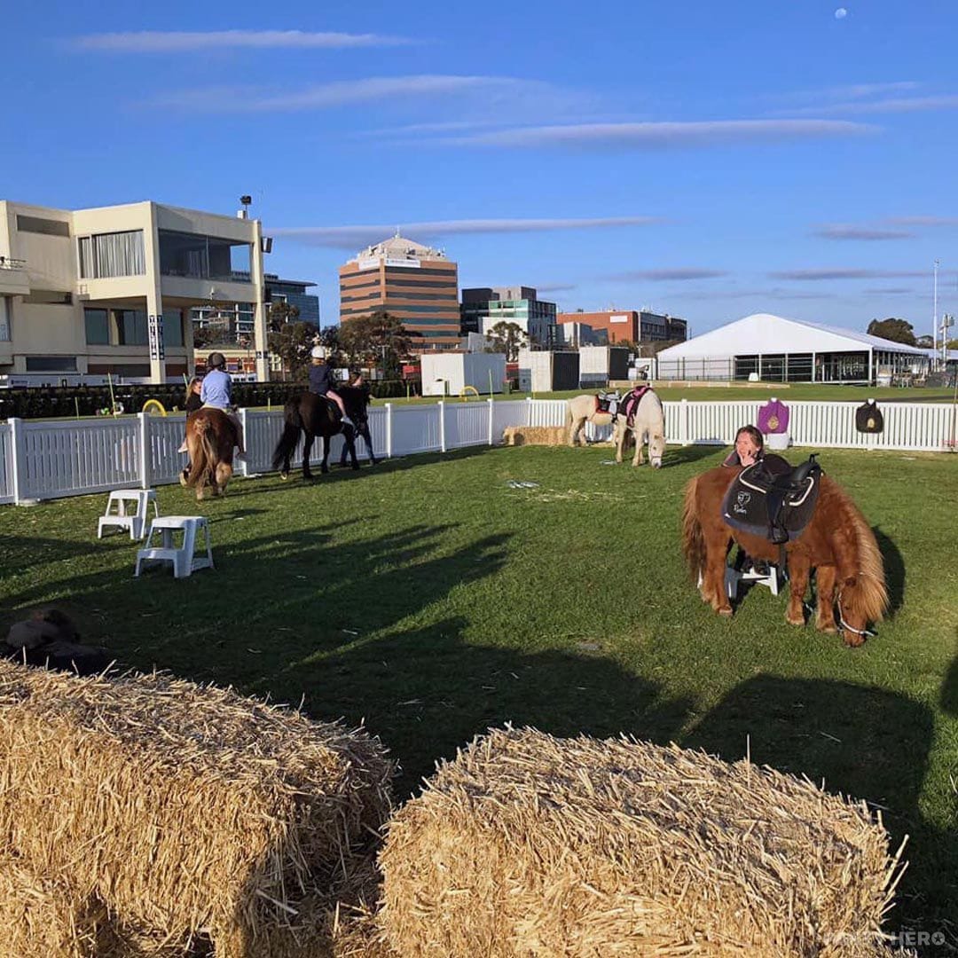 Little Ryders Pony Rides - kids party entertainment in Melbourne