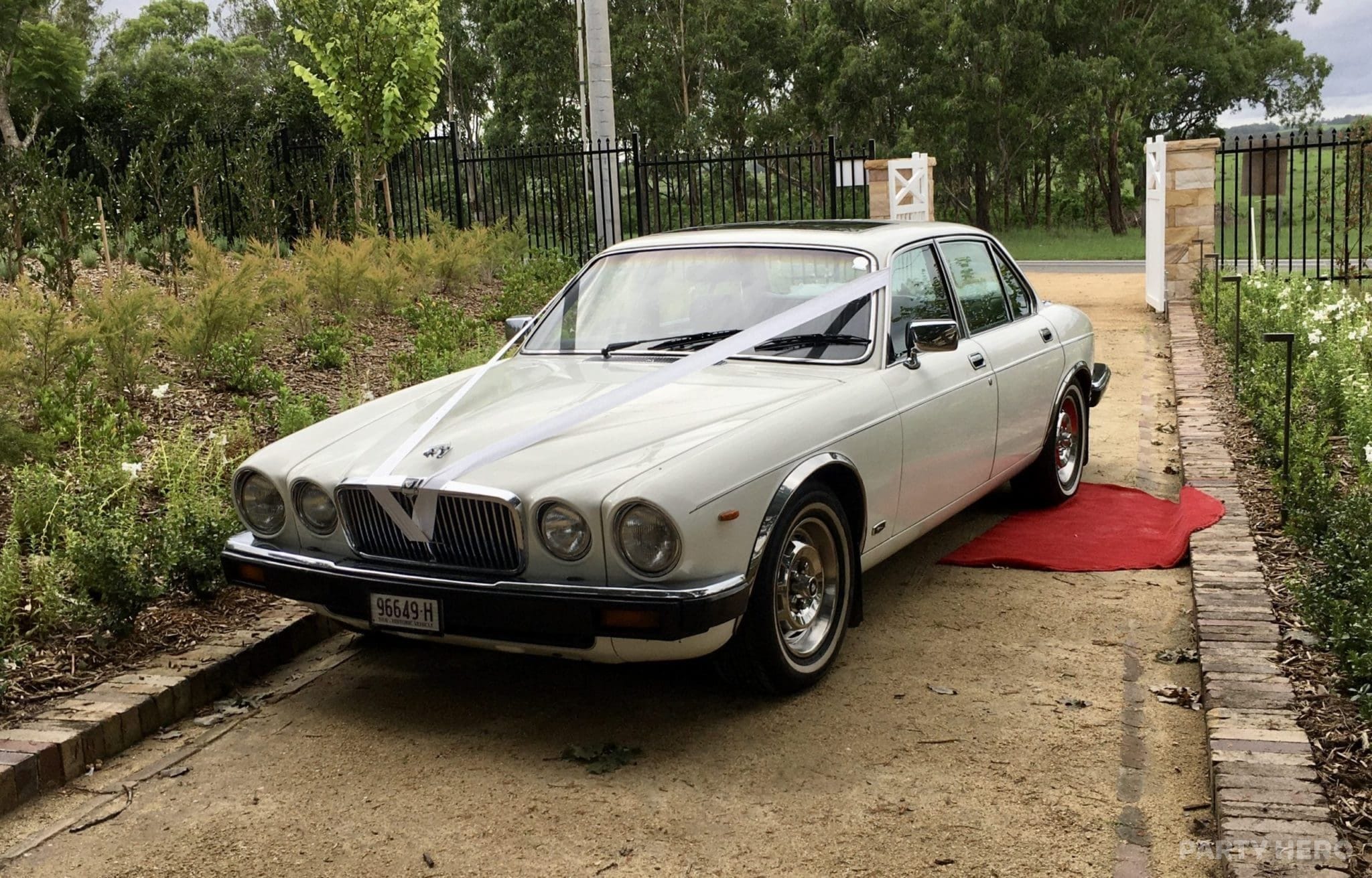 Camden Hire Car Service activity in Sydney - group bookings