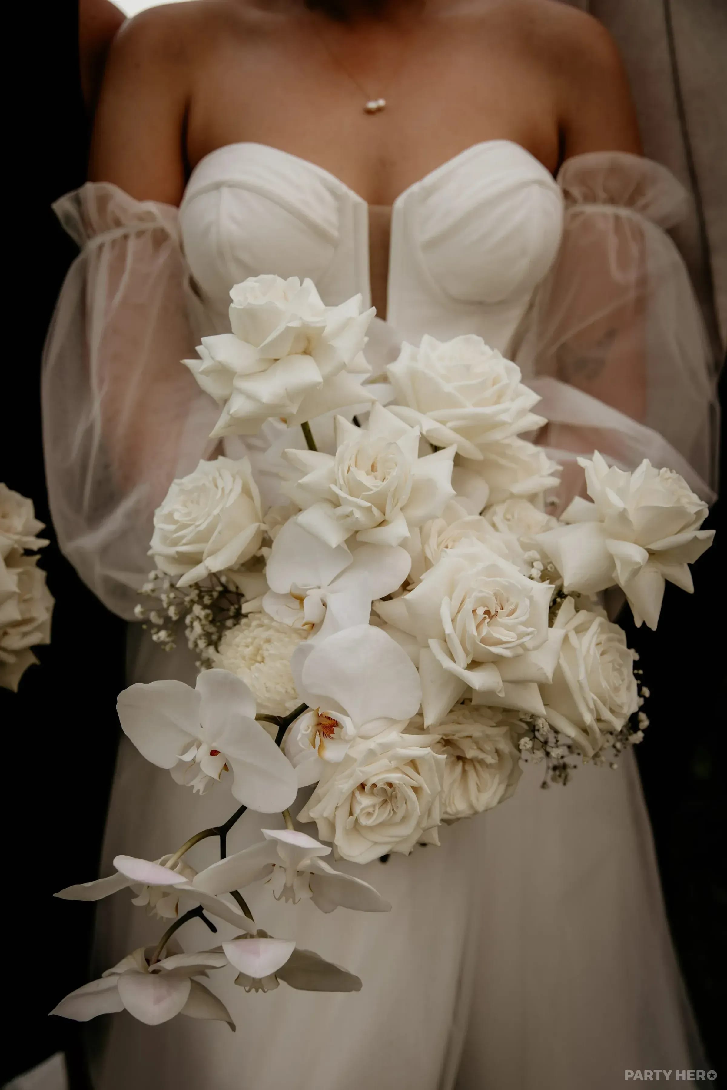 Sol Flare Photography - event photography in Wollongong