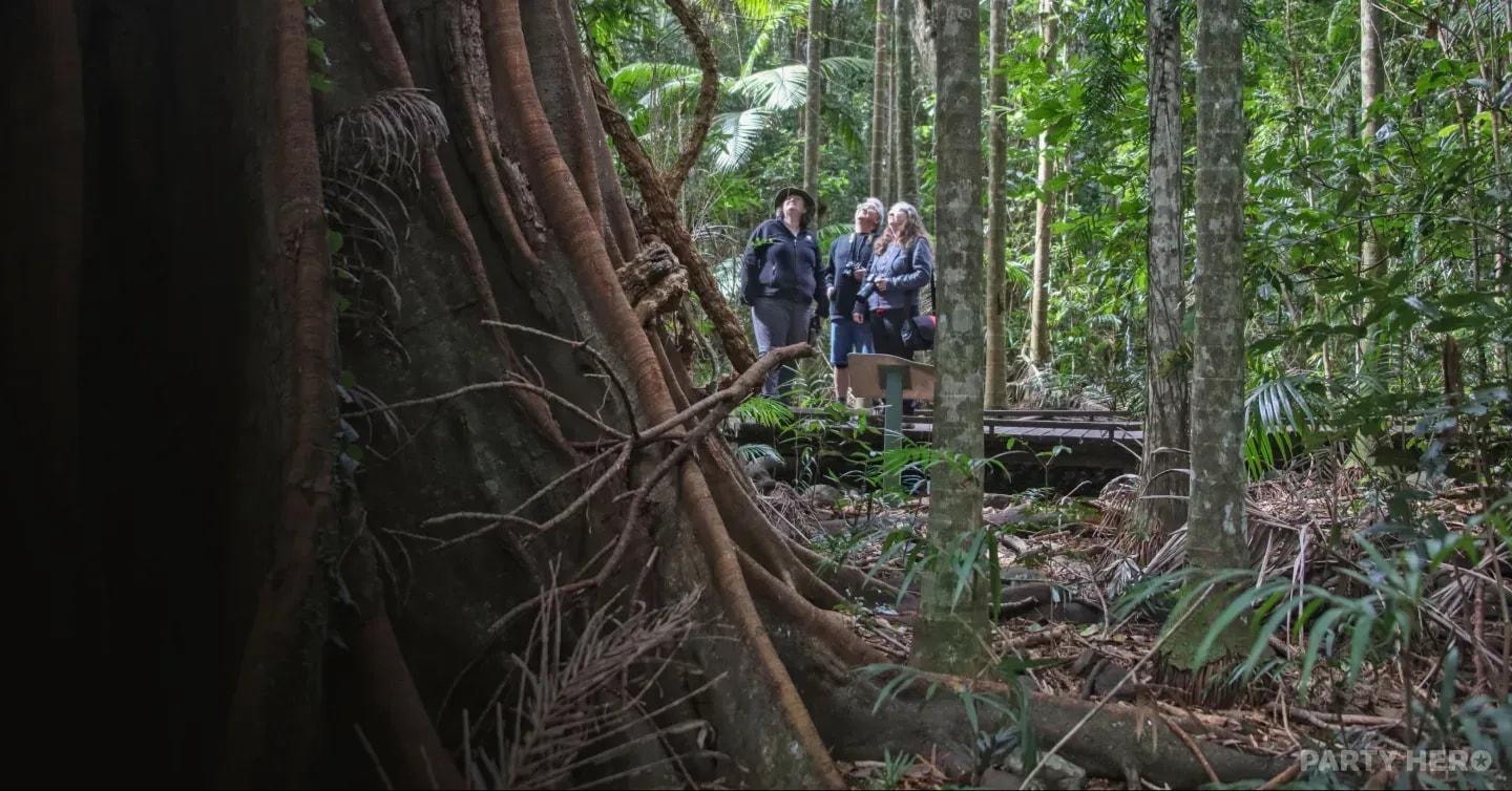 Vision Walks Eco Tours - wildlife experiences in Byron Bay