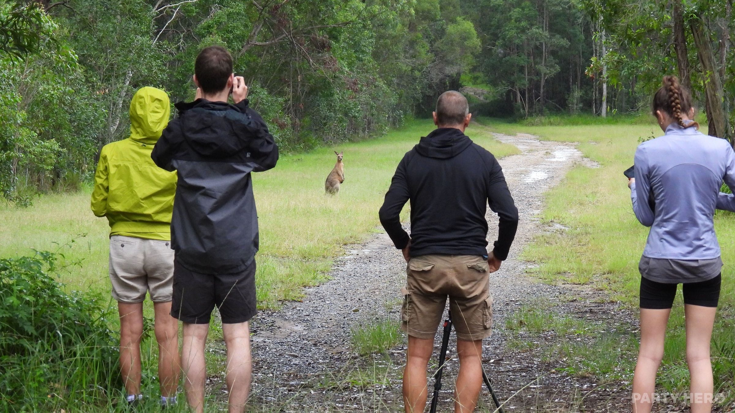 Vision Walks Eco Tours - wildlife experiences in Byron Bay