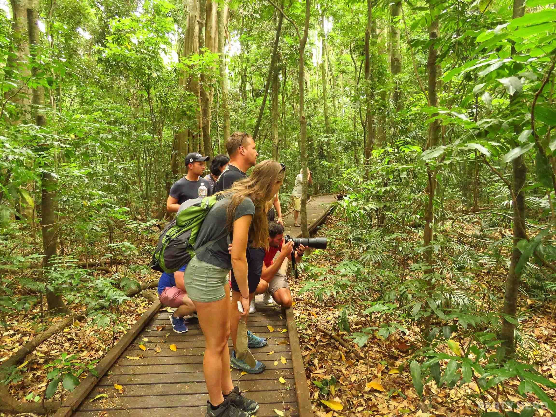 Vision Walks Eco Tours - wildlife experiences in Byron Bay