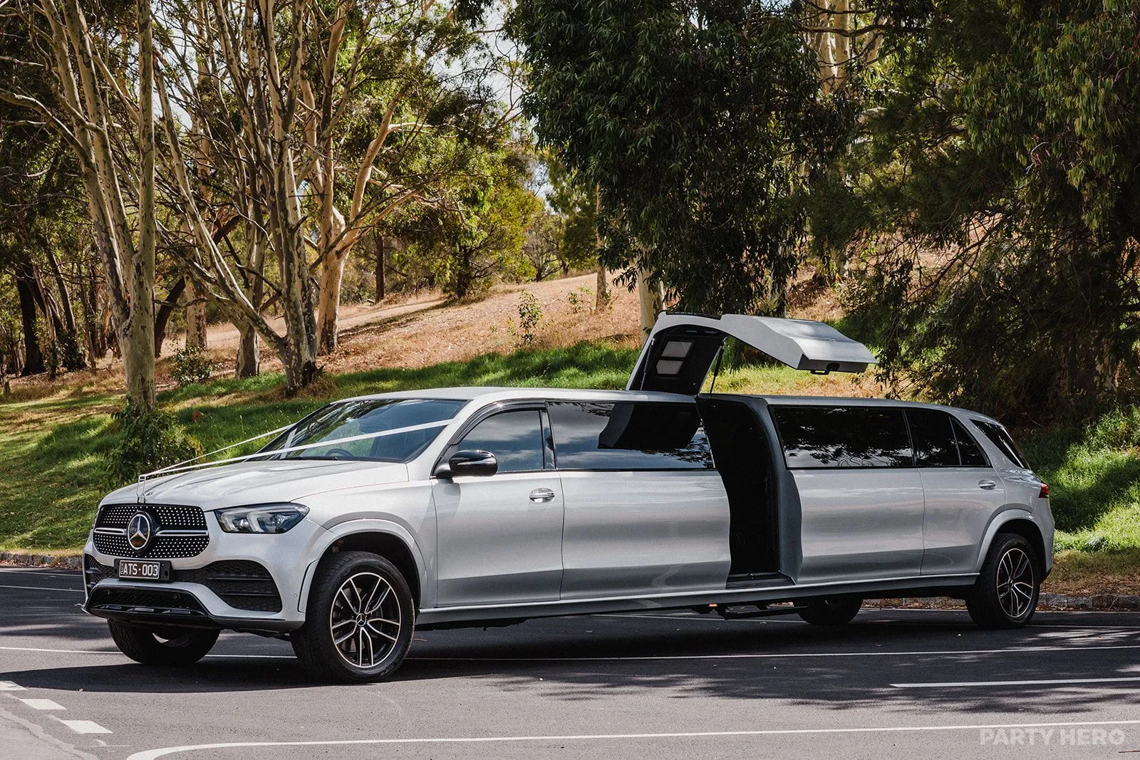 A Touch of Silver