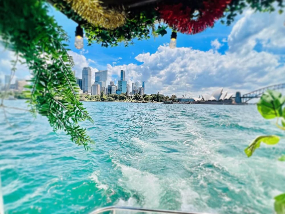 Cheeky Monkey - Sydney Harbour boat hire