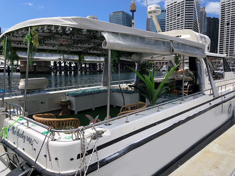 Cheeky Monkey - Sydney Harbour boat hire