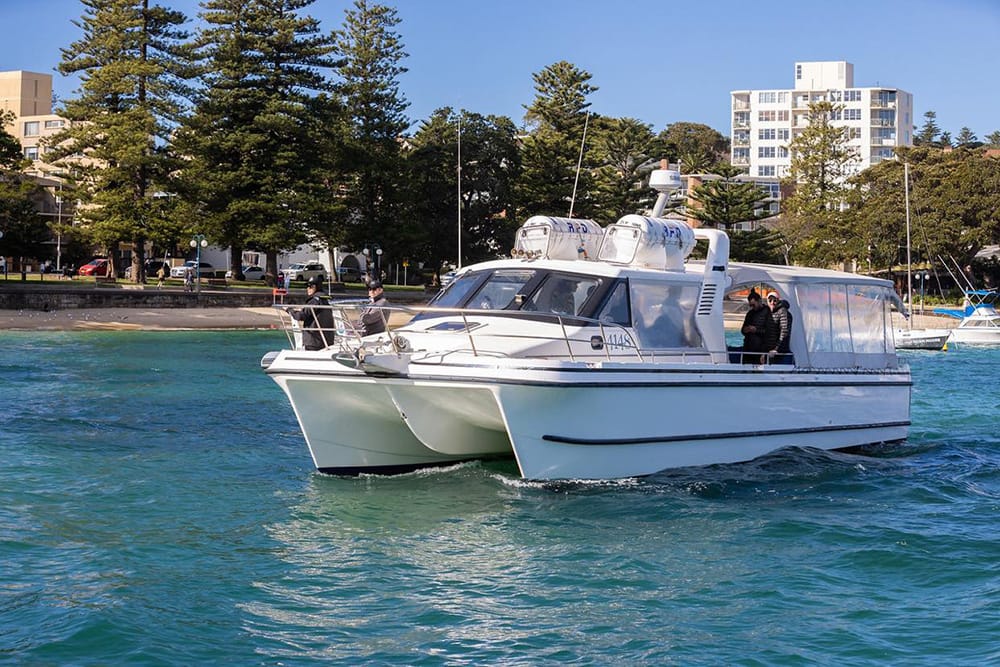 Cheeky Monkey - Sydney Harbour boat hire