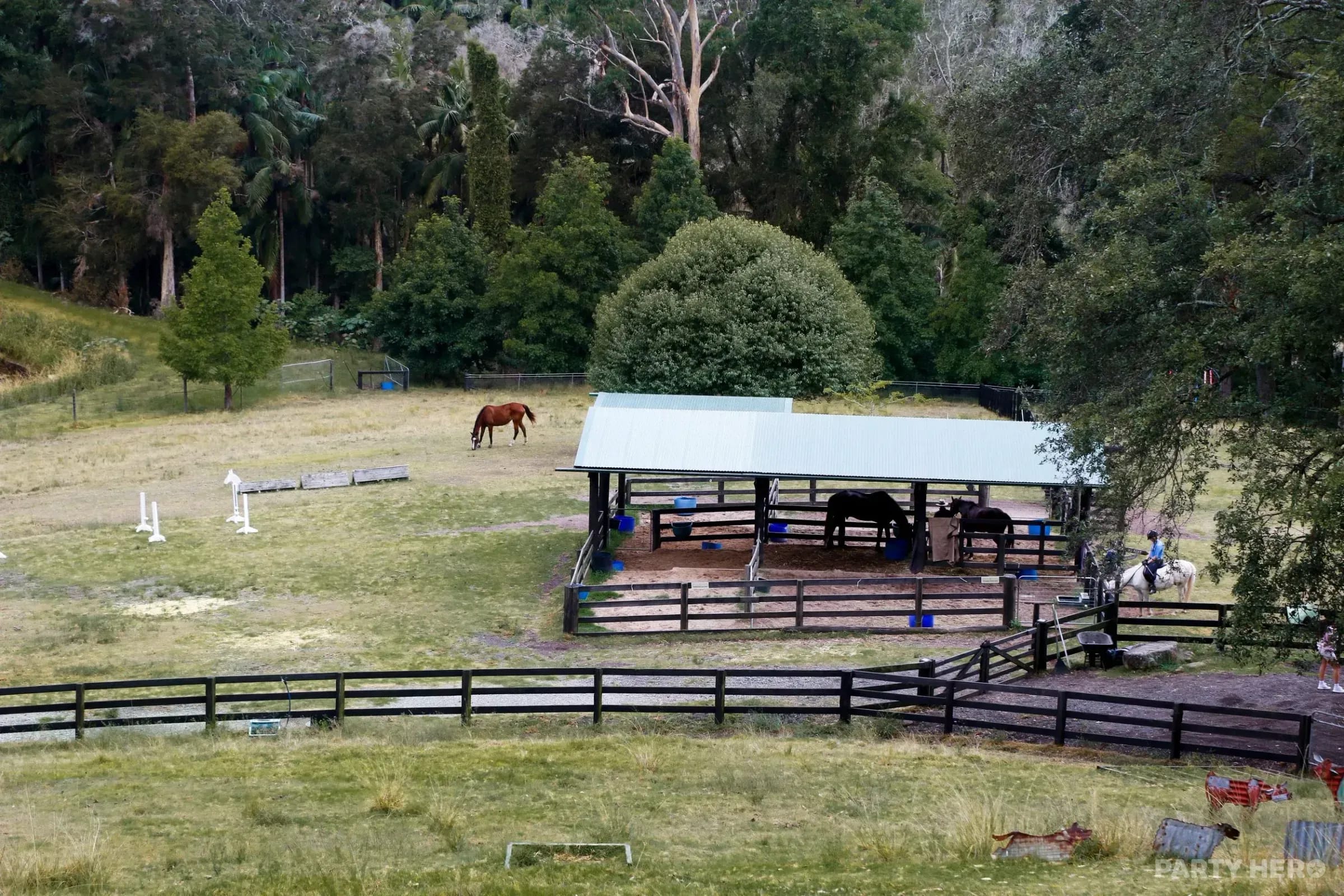 The Outlook Riding Academy - horse riding on the Central Coast