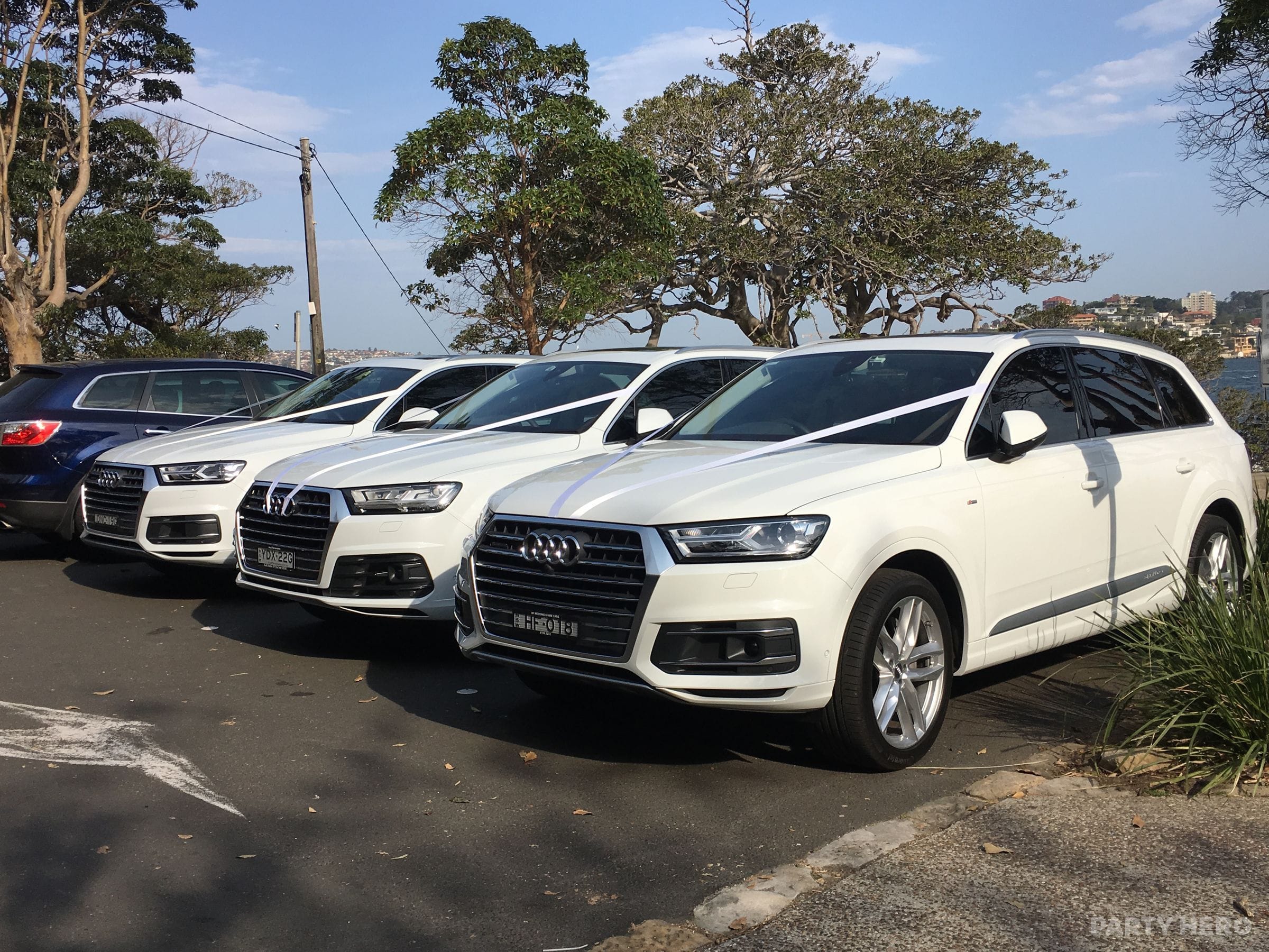 Bayside Limousines activity in Sydney - group bookings