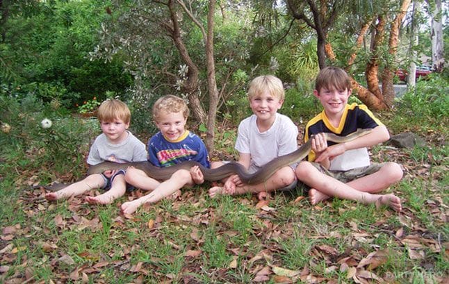 Reptiles Up Close - kids entertainers in Sydney