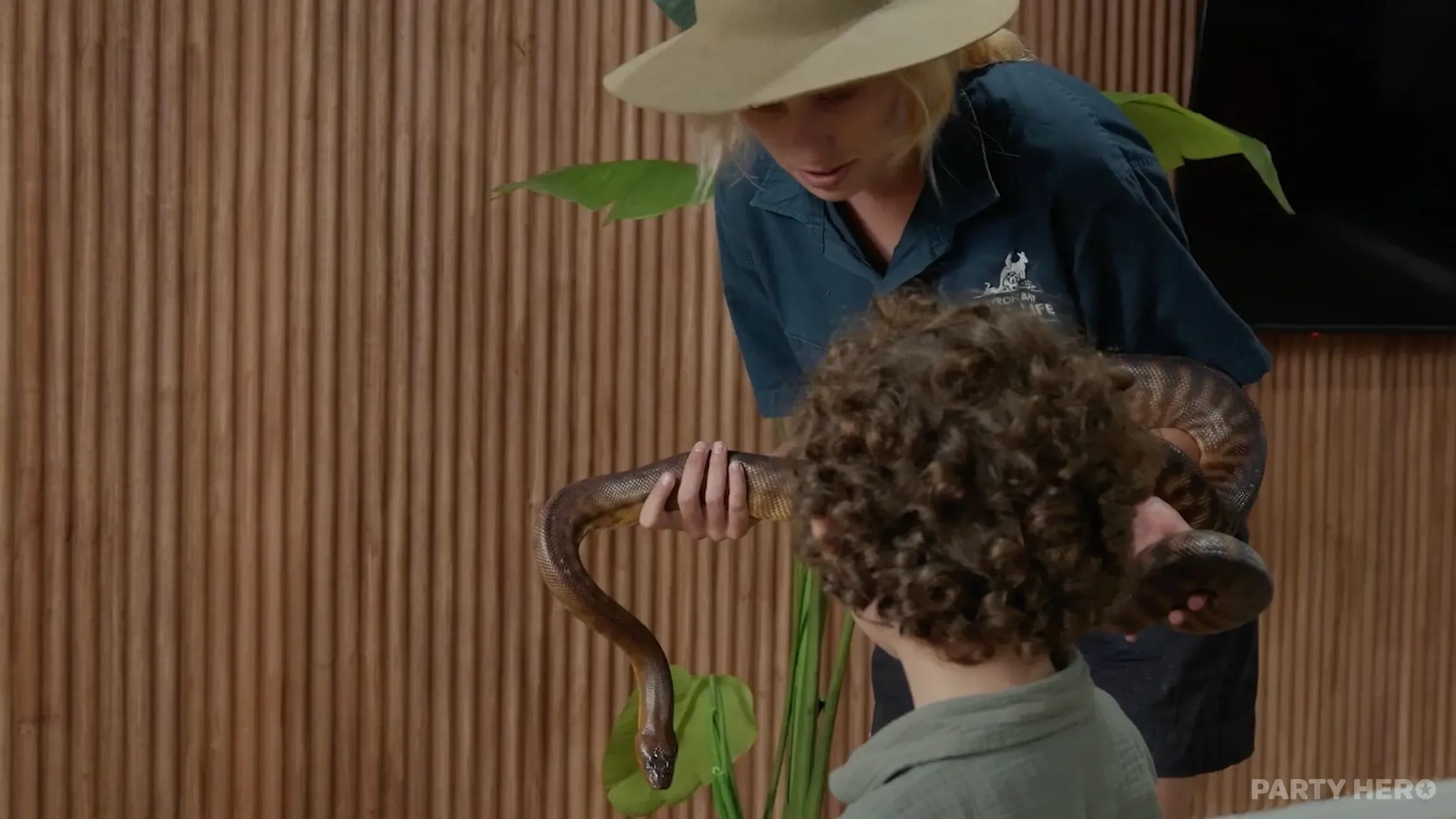 Byron Bay Wildlife Sanctuary - wildlife experiences in Byron Bay