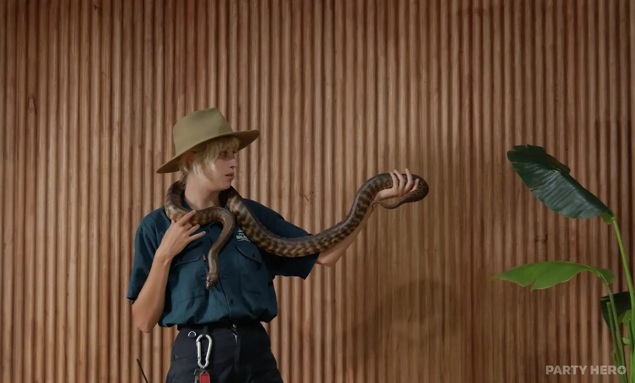 Byron Bay Wildlife Sanctuary - wildlife experiences in Byron Bay