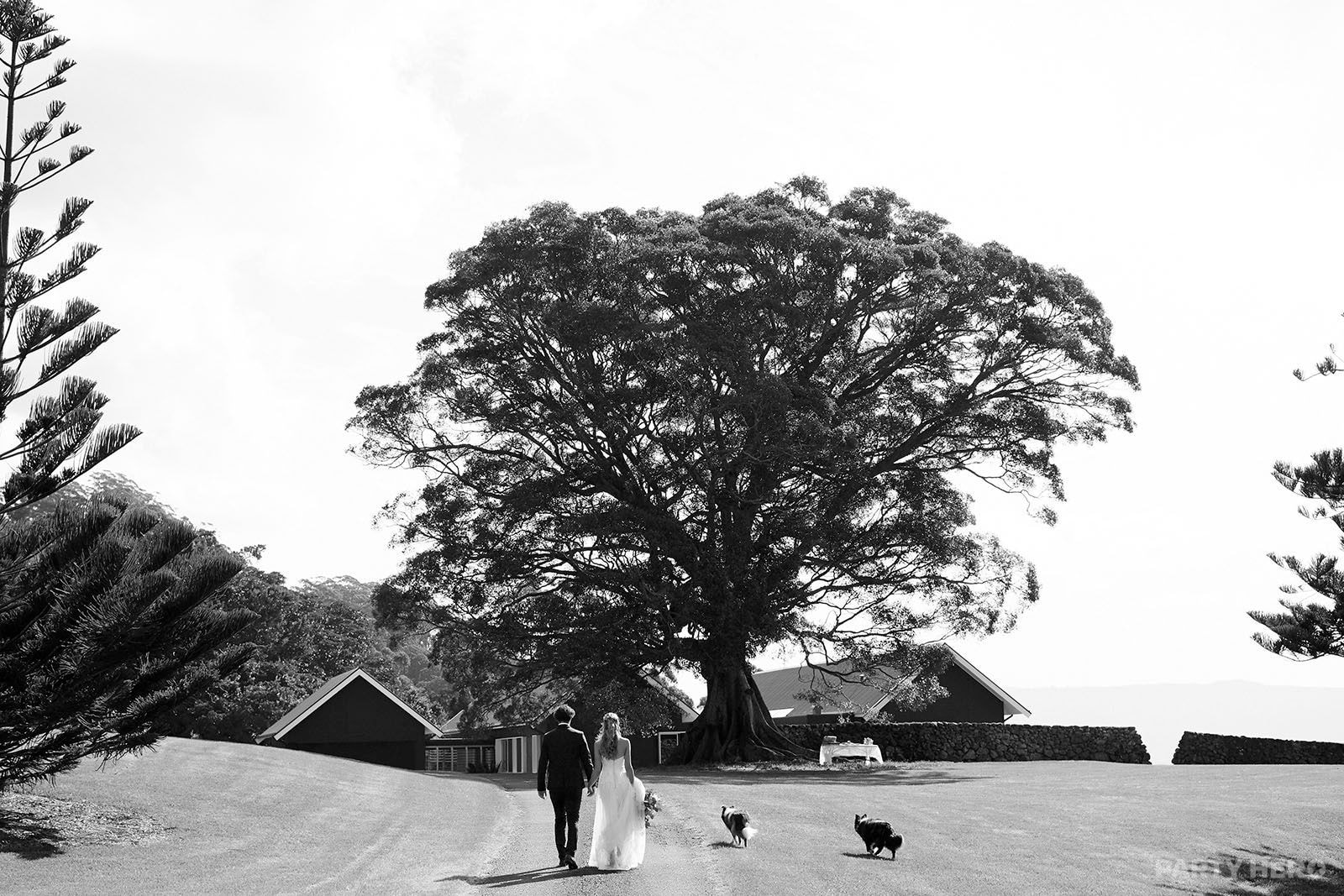 Nica Photography - event photography in the Southern Highlands