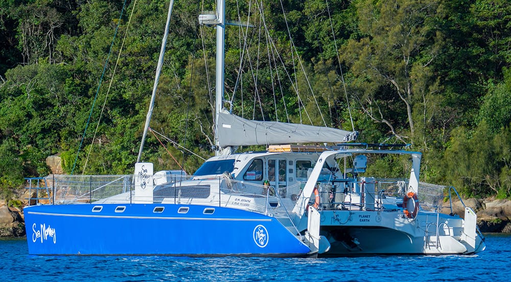 Sea Monkey - Sydney Harbour boat hire