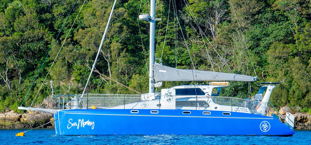 Sea Monkey - Sydney Harbour boat hire