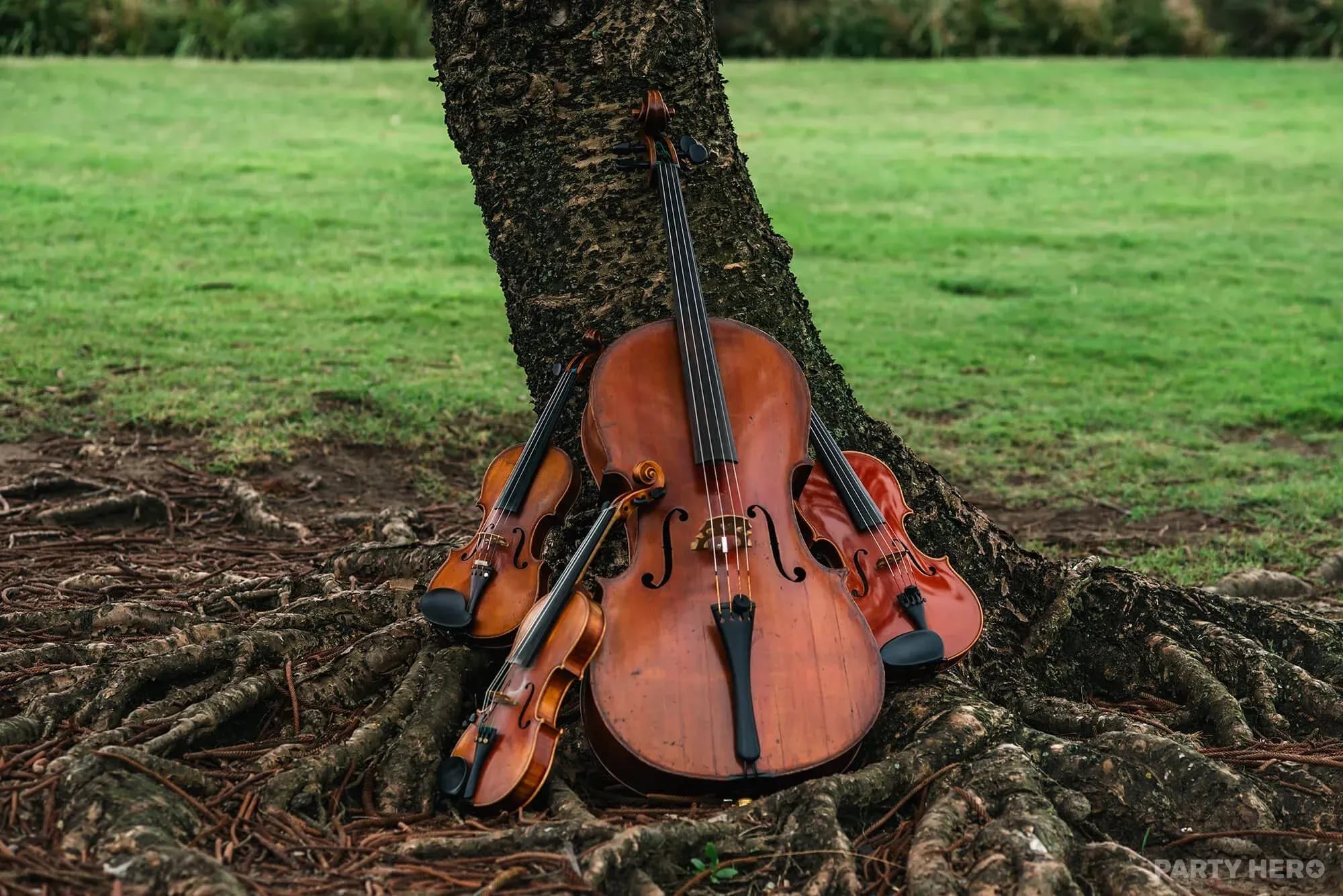 Dolce Strings - band hire on the Central Coast