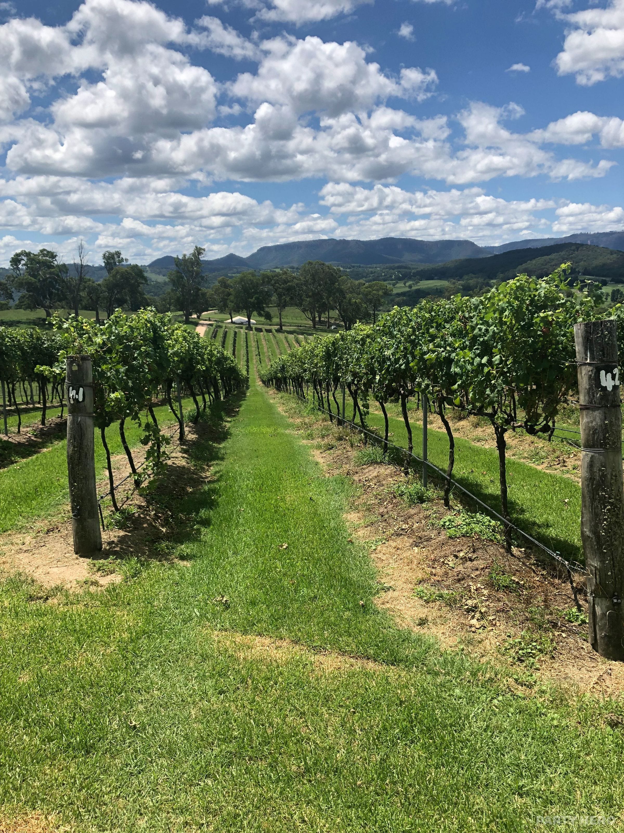 Megalong Creek Estate - party venue in the Blue Mountains