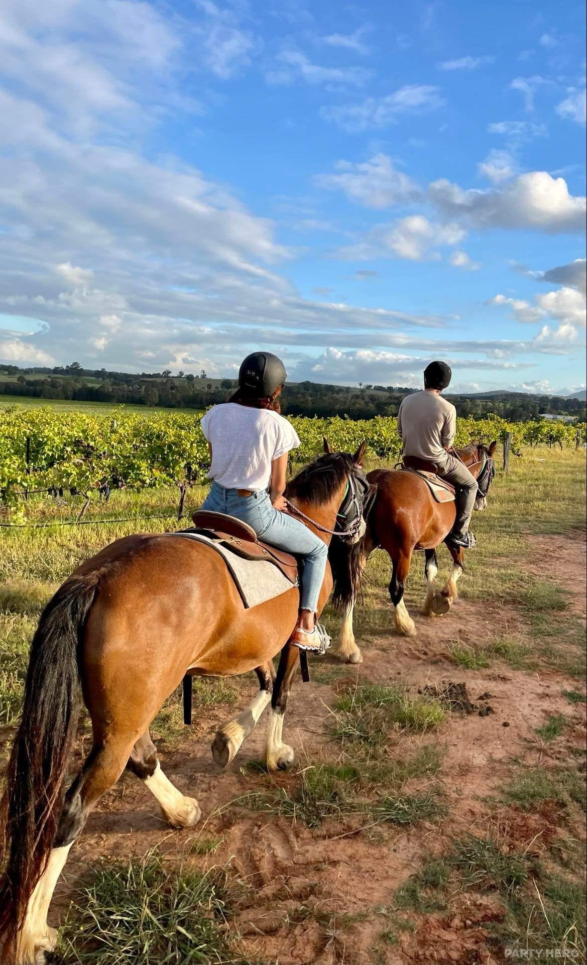 Hunter Valley Horses - horse riding in the Hunter Valley