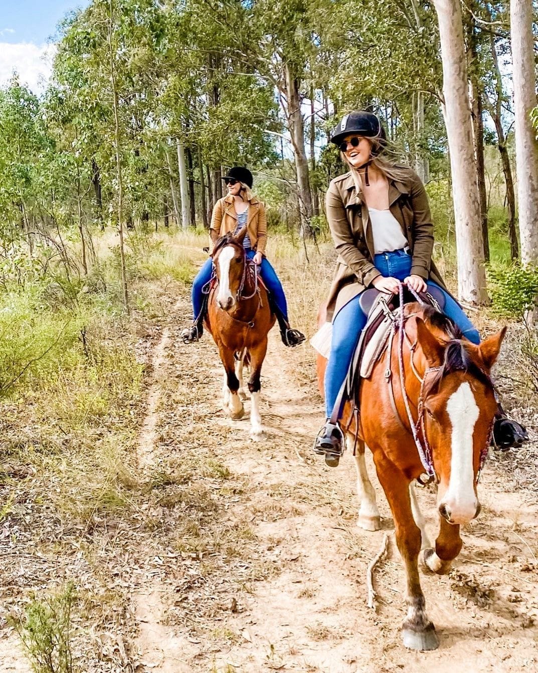 Hunter Valley Horses - horse riding in the Hunter Valley