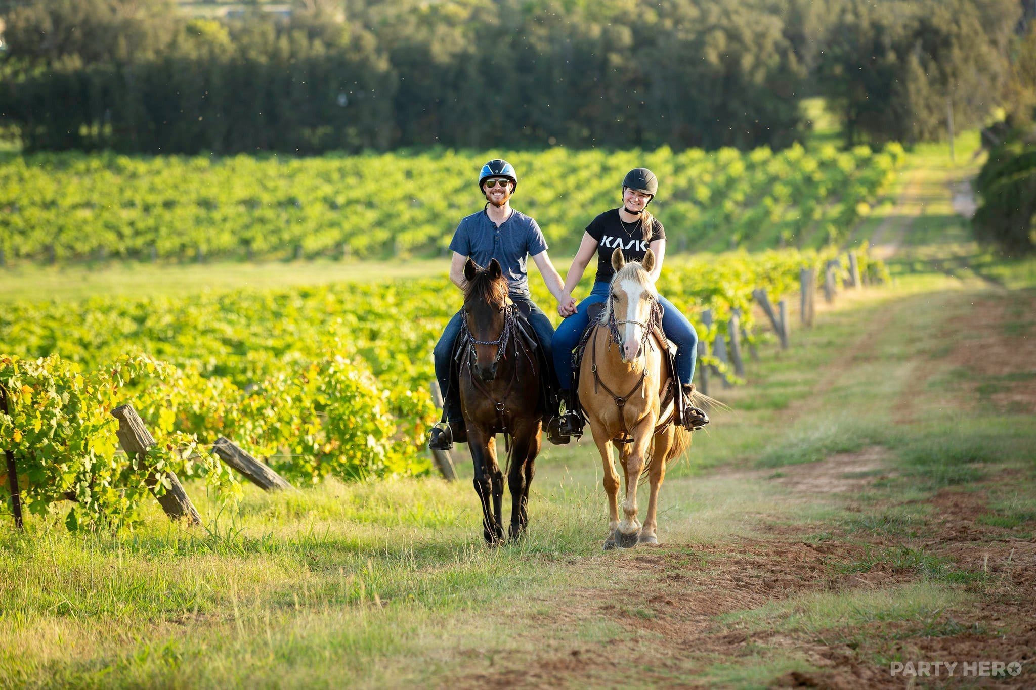 Hunter Valley Horses - horse riding in the Hunter Valley