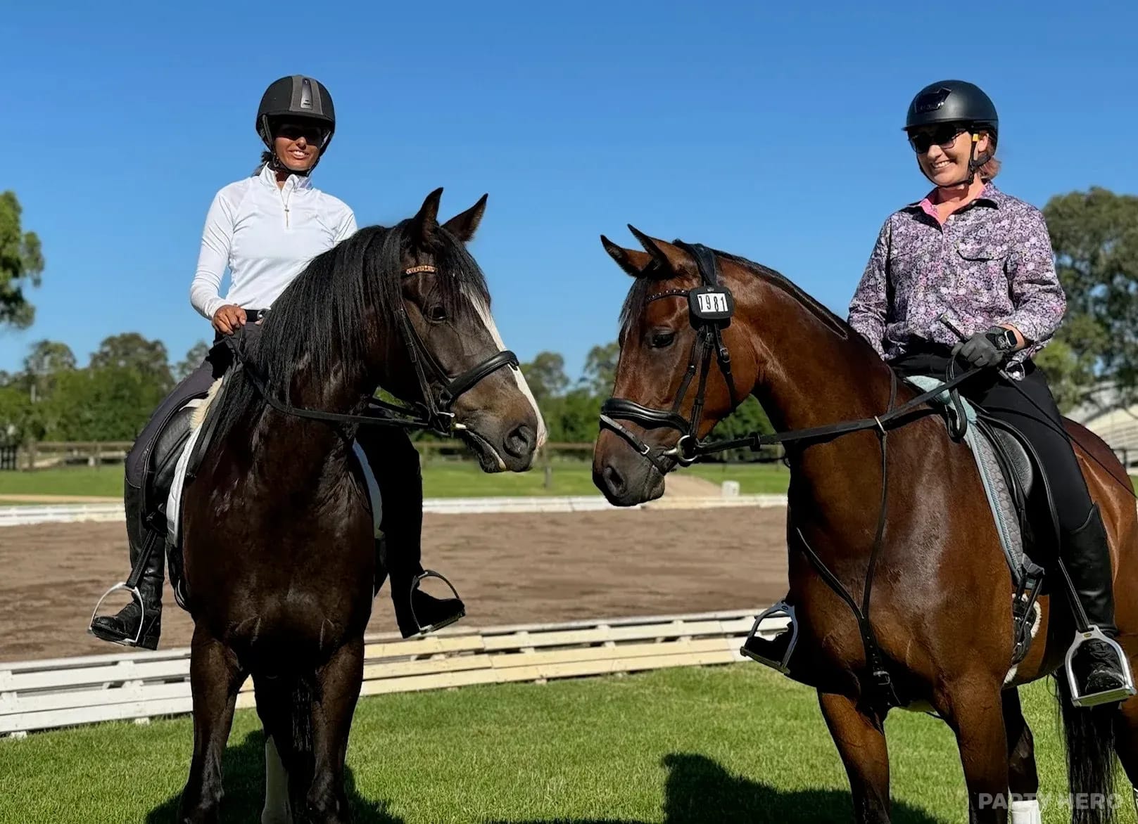 Sydney Horse Riding horse riding in Sydney - group bookings